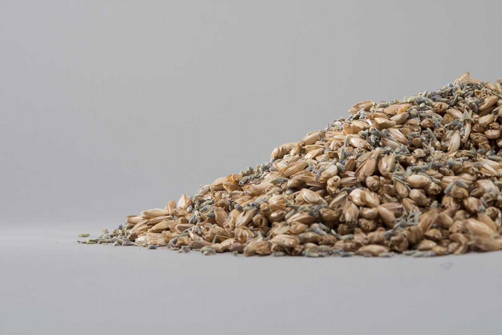 a pile of brown grains